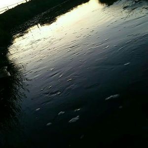 Meet your Posher, Traydon